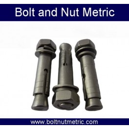 stainless steel expansion anchor bolt